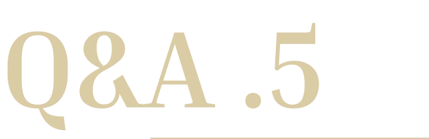 桃園 藝 文 特區 霧 眉
